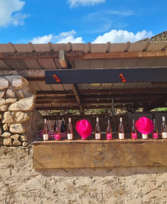 Chateau-de-gorze_soiree-privee_terrasse