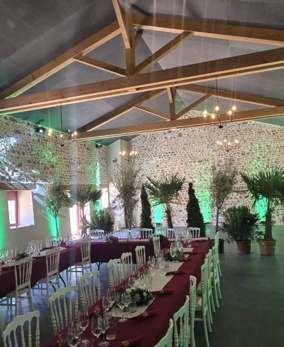 WhatsApp Image 2025-06-06 à 16.11.18_b94f8f23