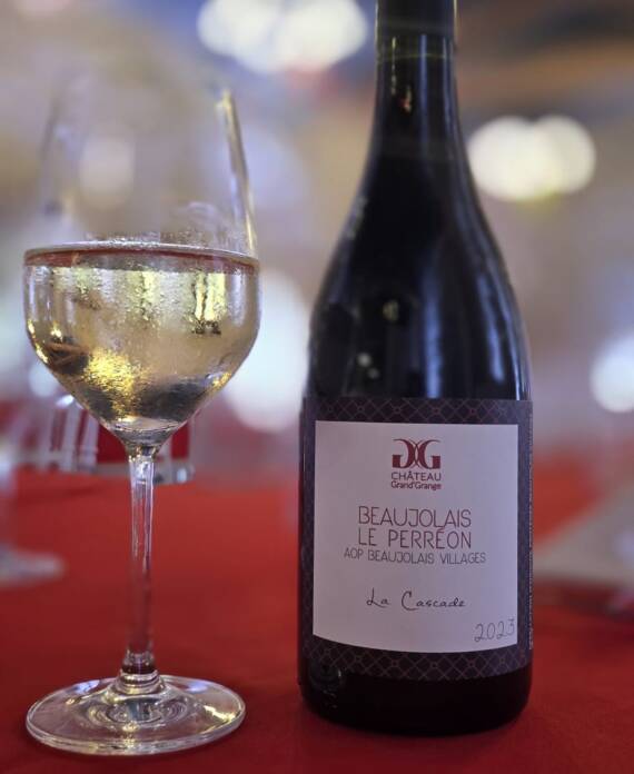 WhatsApp Image 2025-12-26 at 11.41.25 (8)